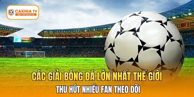 Các Giải Bóng Đá Lớn Nhất Thế Giới Thu Hút Nhiều Fan Theo Dõi